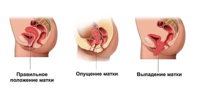 ЭНЦИКЛОПЕДИЯ МЕДИЦИНЫ * АНАТОМИЧЕСКИМ АТЛАС * ЛИСТ 108 - Тело человека №98,  страница 15