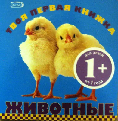 Книга \"Животные. Для детей от 1 года\" - купить книгу в интернет-магазине  «Москва» ISBN: 978-5-699-29079-6, 435336