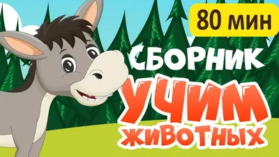 Мультфильмы прo животных смотреть онлайн подборку. Список лучшего контента  в HD качестве