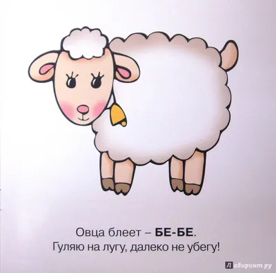 Иллюстрация 10 из 19 для Домашние животные! Детям от 1-го года - Ольга  Громова | Лабиринт -