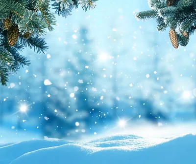 Холодная зима снег зимний лес снег фон, Холодный, Зимний день, сугроб фон  картинки и Фото для бесплатной загрузки | Лес, Пейзажи, Фоновые изображения