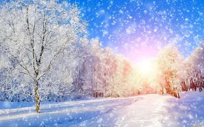 Прекрасный зимний фон Настенные обои в зимнее время Снежно-покрытые ветви  деревьев закрываются на улице с избирательным фокусом П Стоковое Фото -  изображение насчитывающей украшение, рождество: 134729140