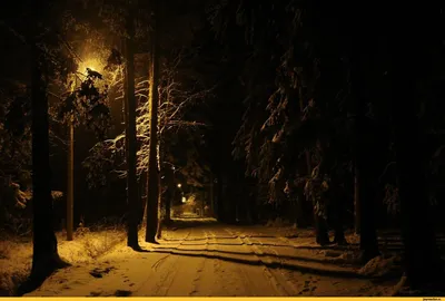 [79+] Картинки зимы ночью обои