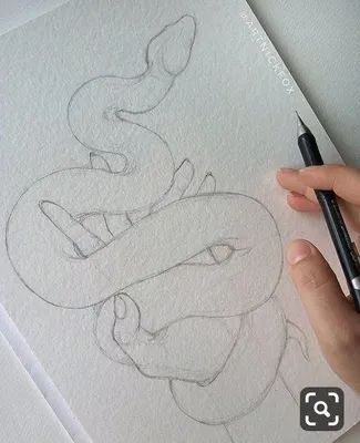 [77+] Картинки змеи рисунки обои