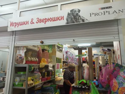 Petstages Nighttime Cuddle Toy Bug \"Жучок\" Игрушка для кошек купить в  Украине | Зоомагазин Petslike.net