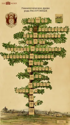 [81+] Картинку генеалогическое древо обои