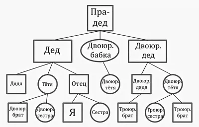 Лучшие программы для построения семейного дерева