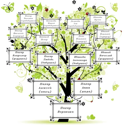 Генеалогическое древо — как составить, сколько стоит, где брать информацию  для родословной, шаблоны
