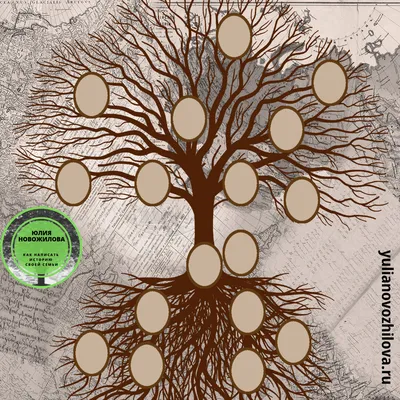 Заказать генеалогическое древо семьи - Портреты и шаржи по фотографии в  Бишкеке