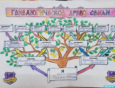 Заказать генеалогическое древо семьи - Портреты и шаржи по фотографии в  Тюмени