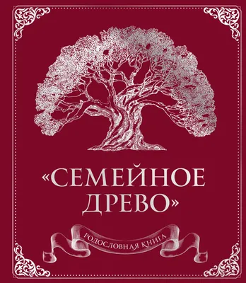 Винтажный Генеалогическое Семейное Дерево Нарисованный От Руки Рисунок  Векторный Рисунок — стоковая векторная графика и другие изображения на тему  Фамильное древо - iStock