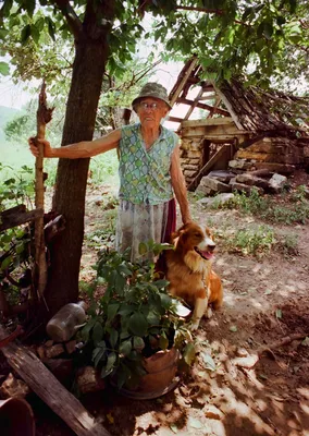 Long abandoned, Granny Henderson's cabin still tells a story — Ozarks Alive