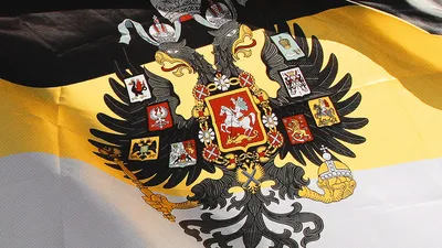 Депутат от ЛДПР предложил вернуть России имперский флаг - Delfi RUS