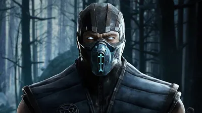 Костюм Скорпион Саб Зиро Рептилия: купить костюмы из игры Mortal Kombat в  интернет магазине Toyszone.ru