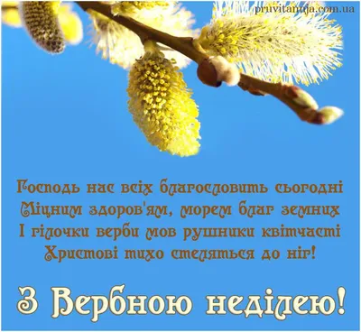 Сьогодні українці святкують Вербну неділю » Профспілка працівників освіти і  науки України