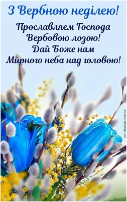 Сегодня начинается Вербная неделя. Что нельзя делать до самой Пасхи |  Українські Новини