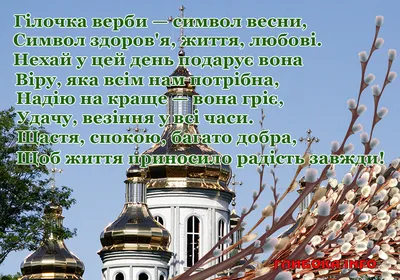 Вербна неділя: історія, звичаї та традиції свята | ITV MEDIA GROUP | Новини  Рівного та області