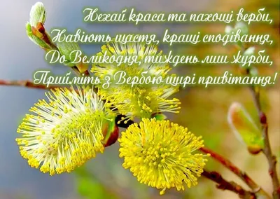 Вербна неділя: символіка та значення для християнства | mefodiy.org.ua