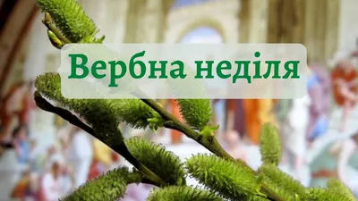 Вербна неділя. Найкращі привітання, традиції і прикмети - НТА