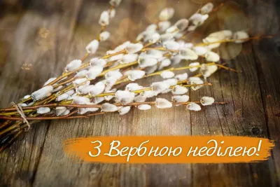 Топер Вербна неділя: продажа, цена в Волынской области. Аксессуары для  праздника от \"ArtDecor\" - 1144309749