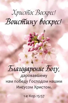 😇 Христос воскрес! 🙏 Воистину воскрес! ❤ — с этими словами встречаем мы  сегодня это благодатное пасхальное утро 🌞 ... | ВКонтакте