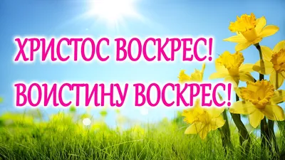 ВОИСТИНУ ВОСКРЕС! | Пикабу