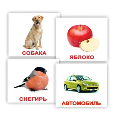 Карточки Домана Вундеркинд с пелёнок \"Деревья\" на русском (97775). Игры для  малышей