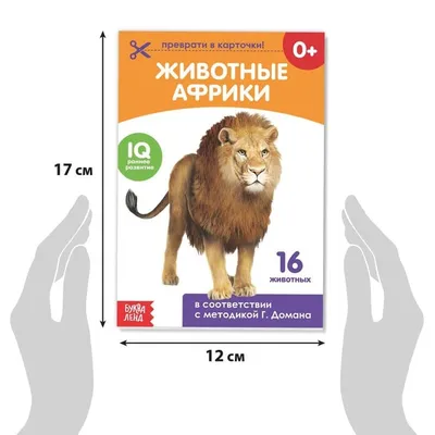 Карточки Домана Ягоды Ламинация 20 карточек на русском языке  (2100064145315) – купить в интернет-магазине Ditya.com.ua цены, отзывы,  фото, характеристики