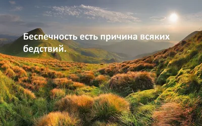 10 Кавказских фраз, поражающие своей глубиной и нестандартным подходом к  сути и смыслу жизни. | Живи Красиво | Дзен