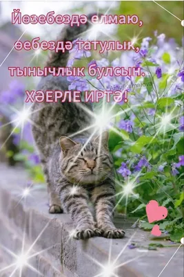 Хәерле иртә!