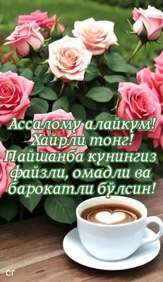 Идеи на тему «АССАЛОМУ АЛАЙКУМ! ХАЙИРЛИ ТОНГ!» (160) в 2024 г | тонга,  географическая деятельность, прощение цитаты