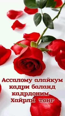 Хайрли тонг🌷🌷🌷🌷 🌹🌹🌹🌹Бугунги кун... - Бухара мой любимый город |  Facebook