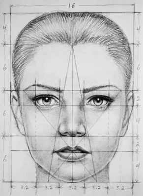 Как нарисовать лицо карандашом: поэтапная инструкция для начинающих (140  фото). Основные пропорции лиц человека, взрослых, детей, пожилых