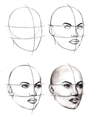 Как нарисовать лицо карандашом: поэтапная инструкция для начинающих (140  фото). Основные пропорции лиц человека, взрослых, детей, пожилых