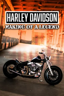 Harley-Davidson® Bikes: A Guide to the Best Models | Texas Harley