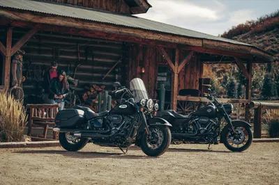 Millennials may claim another victim: Harley-Davidson