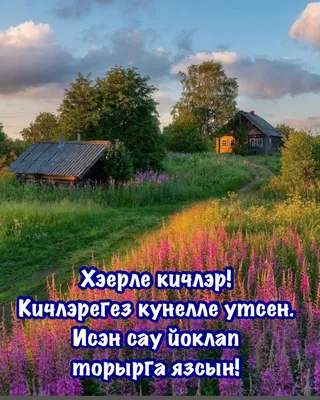 Хэерле Кич Новые Картинки | TikTok