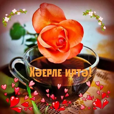 ХӘЕРЛЕ МАТУР КИЧЛЭР ТЕЛИМ БАРЧАБЫЗГА ДА АМИН  🌿🌹🌿🌹🌿🌹🌿🌹🌿🌹🌿🌹🌿🌹🌿🌹🌿🌹🌿 | ВКонтакте