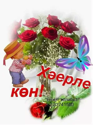 открытки хэерле коннэр｜TikTok Search