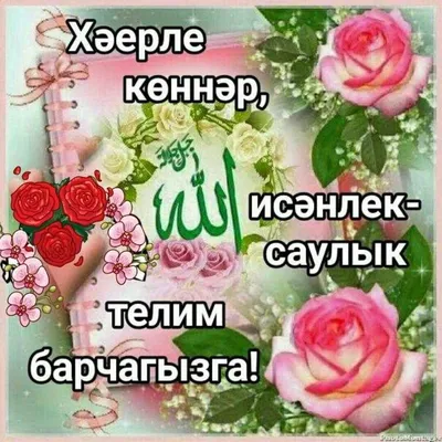 milausha.gilmanova83 - Хэерле коннэр 🙏🙏дусларым👋👋 Ничек хэллэрегез?  Август аеда утеп бара 👋👋👋 Мэш килэбез😄😄😄 Балаларнын, укырга  барасылары бар. 🤔 Бик рэхэт иде, каникул 🤩🤩🤩 Тизрэк бу короновирус  дигэннэре бетсен иде инде 😷🤒🤕🤧🤯