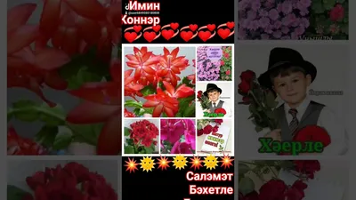 Хэерле иртэлэр.. Жэйге коннэр дэвам итэ,коннэр эссе..барыбызгада тормыш  ямен,яшэу дэртен,онытылмас мизгеллэр,якты.. | ВКонтакте