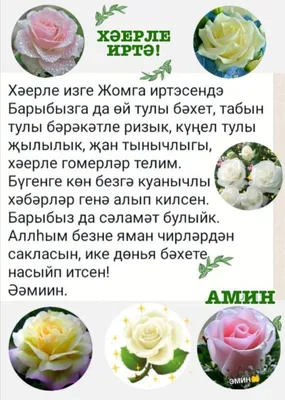 Недвижимость/Казань/Татарстан/квартира/сдача/продажа/обьявления on  Instagram: \"Хэерле коннэр! Бугенгесе кондэ Южно-Кореянын Атоми компаниясе  белэн тыгыз элемтэдэ эшлим. Кемнэрнен регистрация утеп, 20 % скидка белэн  продукциясен кулланып карыйсы килэ ...