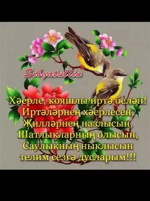 хэерле коннэр - YouTube