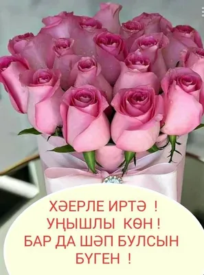 Картинки хәерле иртә красивые на татарском с цветами (70 фото) » Картинки и  статусы про окружающий мир вокруг