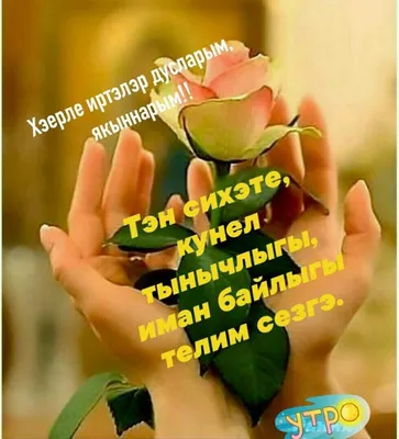 Открытки “Хэерле кон” (22 картинки) - shutniks.com