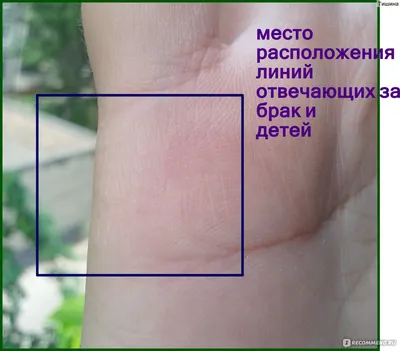 Хиромантия - предсказания по линиям рук - Телеграф