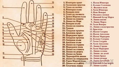 Книга \"Хиромантия: практический курс в картинках с описанием\" Десни  (Супрычев) А В - купить книгу в интернет-магазине «Москва» ISBN:  978-5-222-29974-6, 917345