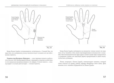 Иллюстрация 1 из 19 для Хиромантия. Практический курс в картинках с  описанием - Андрей Десни | Лабиринт -