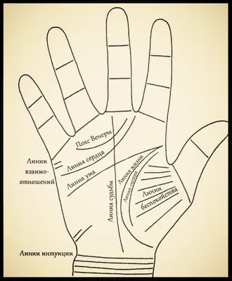 Какие знаки на ладони укажут на наличие стресса. Линия стресса. Хиромантия.  | Исцели себя сам | Дзен