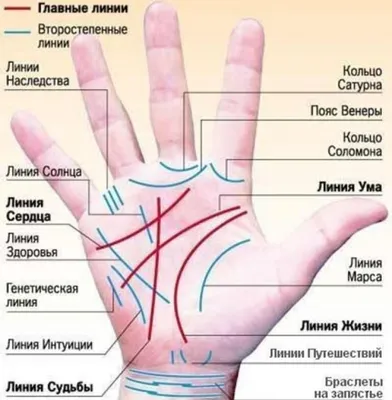 Хиромантия | Психолог Татьяна Кудеярова | Дзен